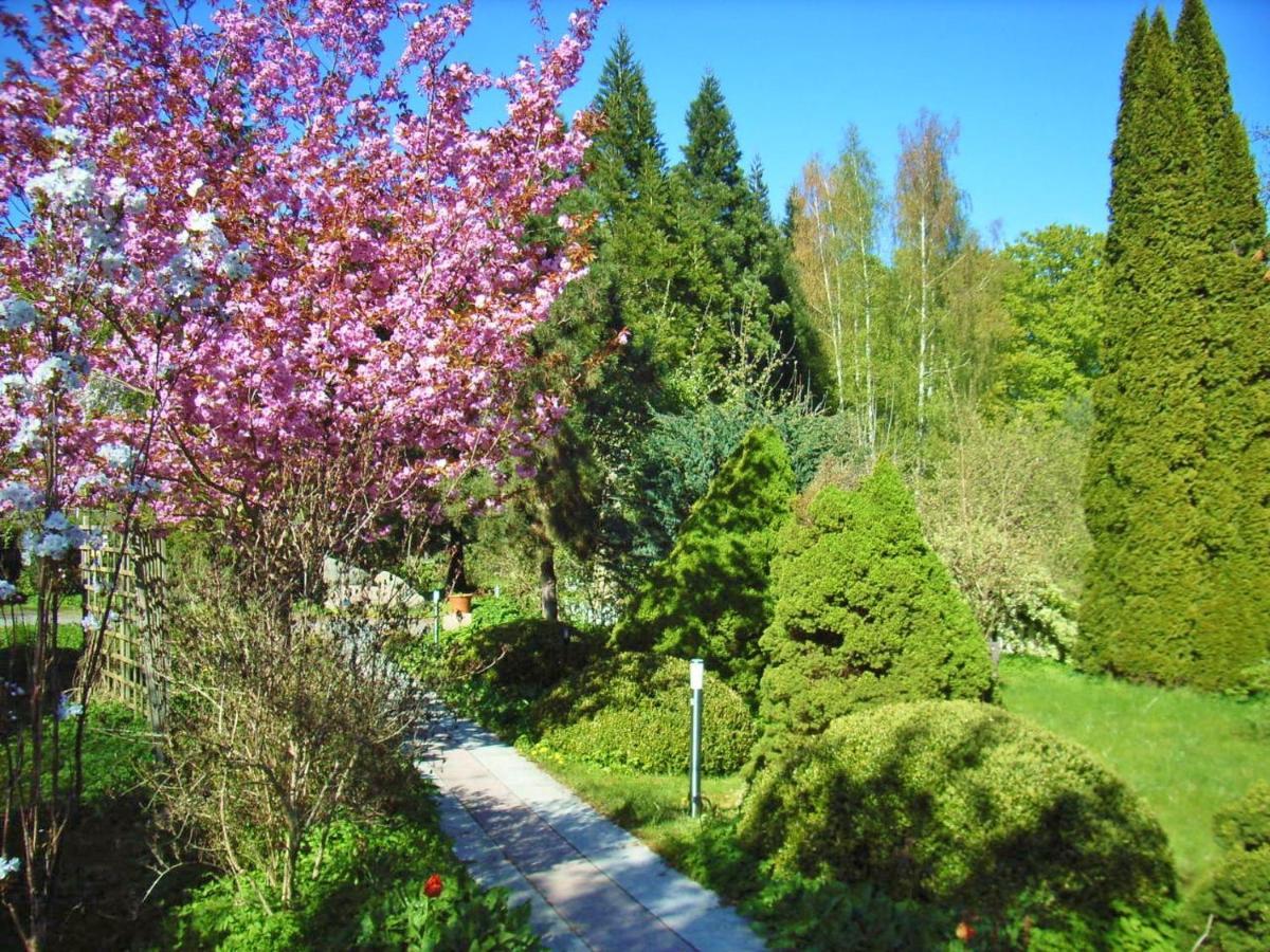 Ostsee Hotel-Pension An Der Lindenallee باد دوبيران المظهر الخارجي الصورة