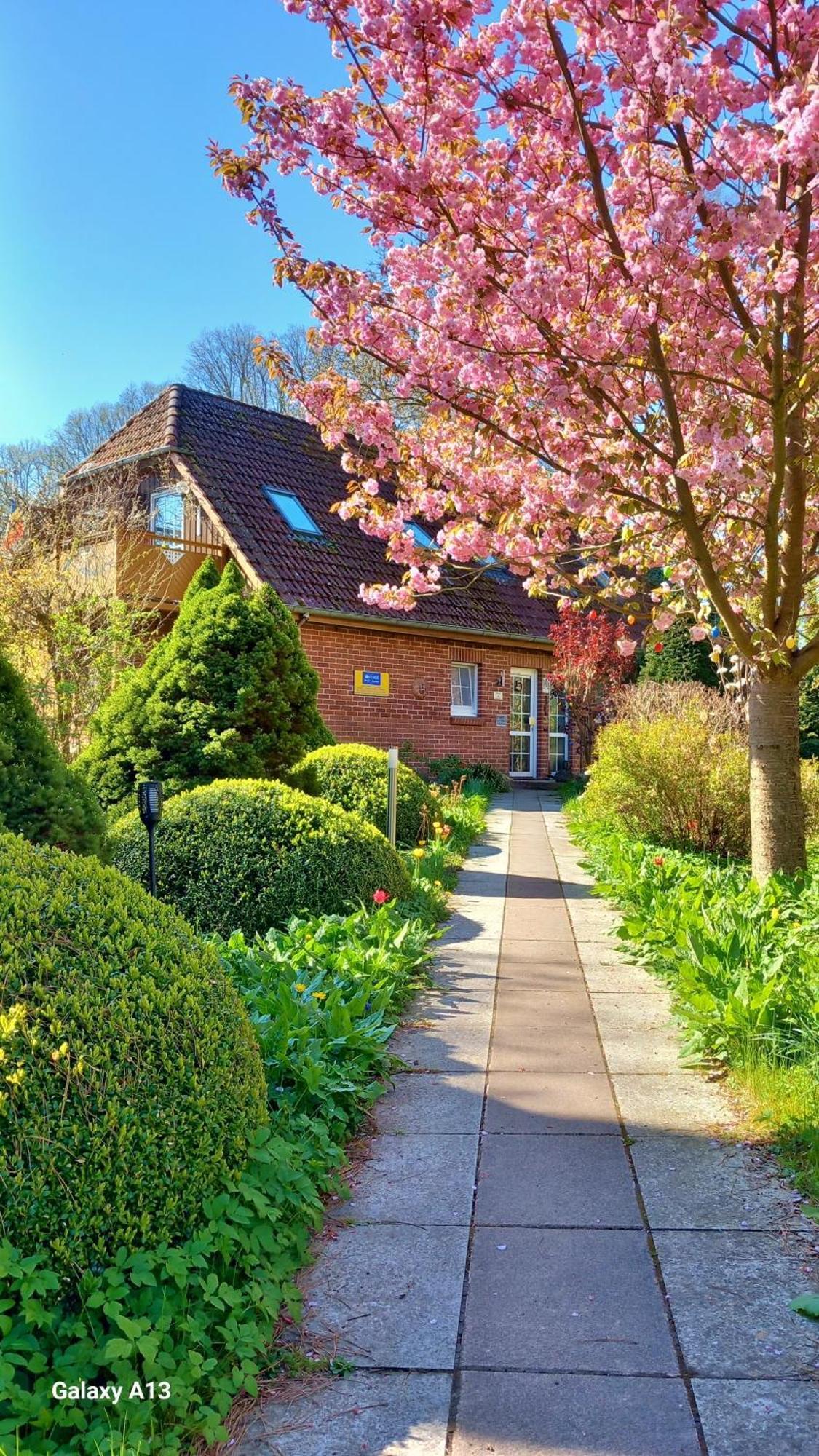 Ostsee Hotel-Pension An Der Lindenallee باد دوبيران المظهر الخارجي الصورة